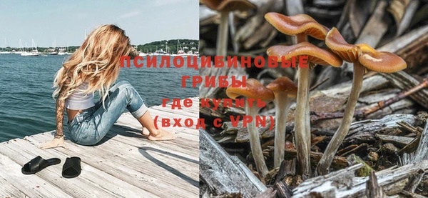 бутират Алексин