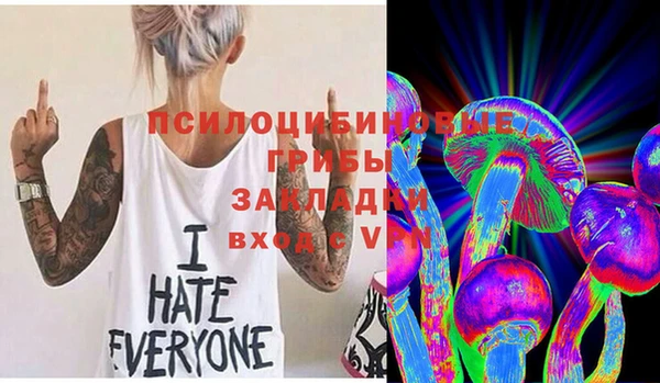 мяу мяу мука Арсеньев